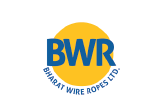 Web XBRL Filing Software for bwr