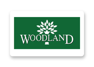 Webtel's GSTR Filing Software for Woodland